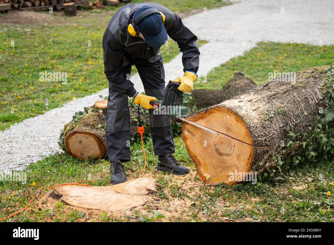 Ein Mann in Uniform schneidet einen alten Baum im Hof mit einer elektrischen Säge Stockfoto