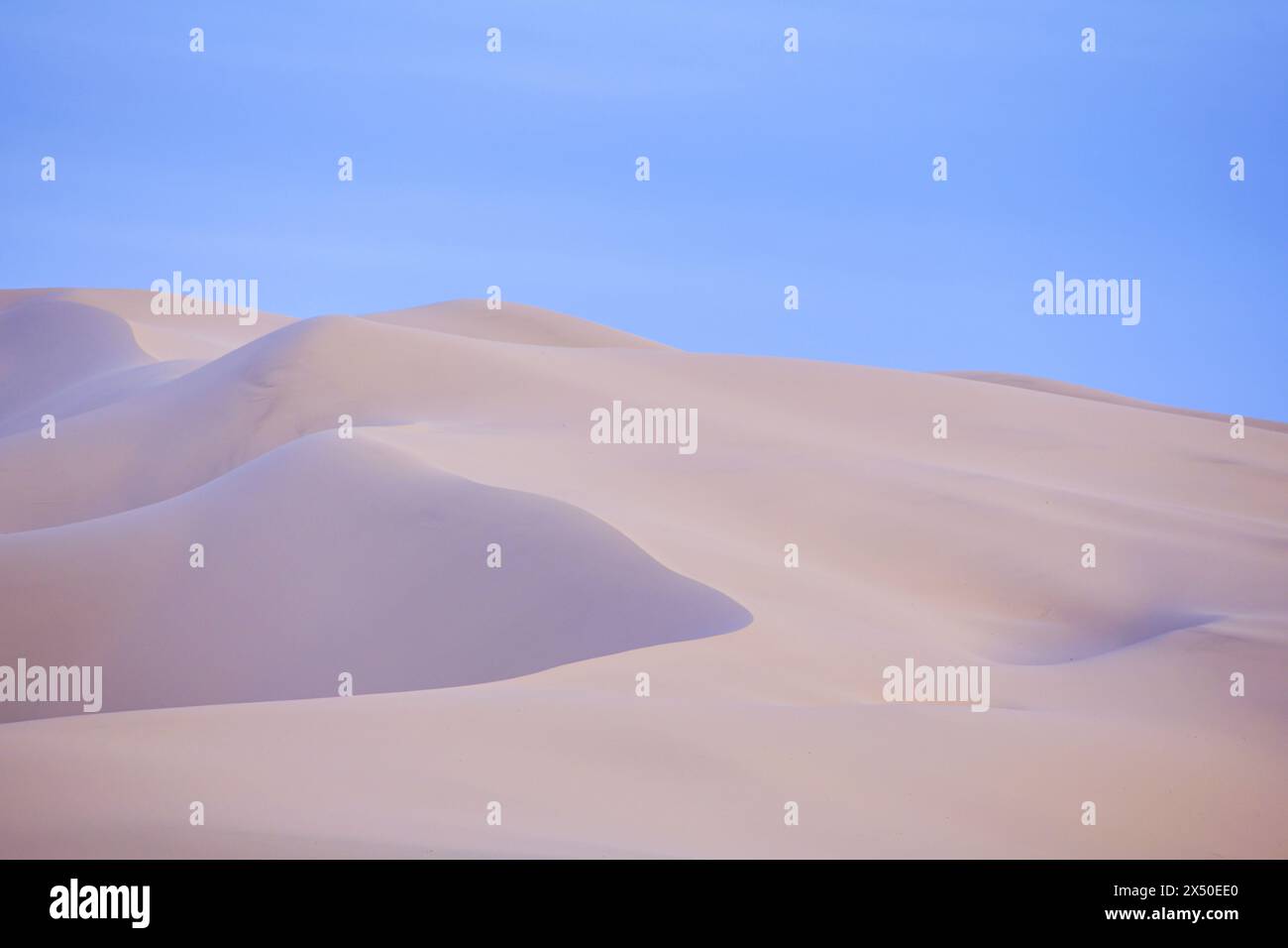 Sanddünen in der Wüste Gobi unter blauem Himmel, Mongolei Stockfoto