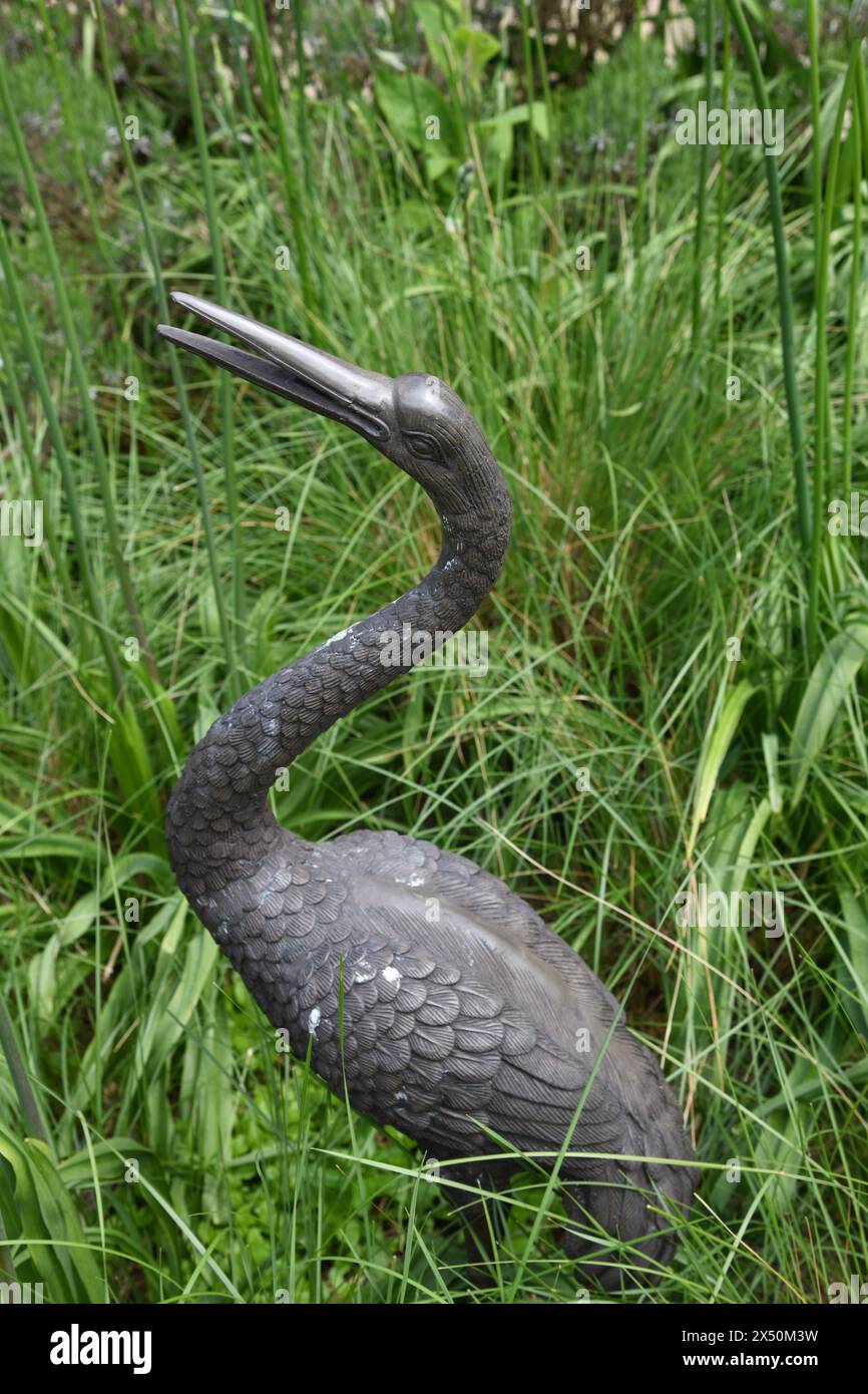 Zierreiher im Garten Stockfoto