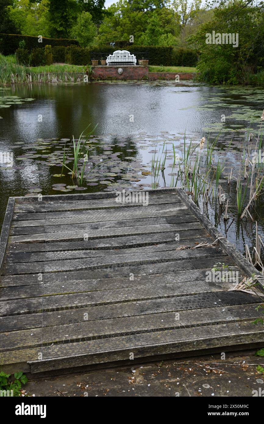 Plattform zur Teichaussicht Stockfoto