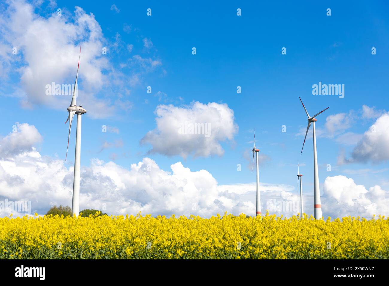 Windmühlen in einem Feld Stockfoto