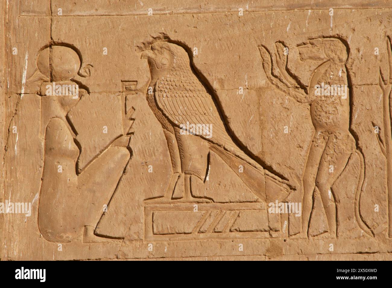 Edfu, Ägypten. Tempel des Horus. Erbaut von 237 v. Chr. bis 57 v. Chr. Dem Falkengott Horus gewidmet. Relief an einer der Wände. Stockfoto