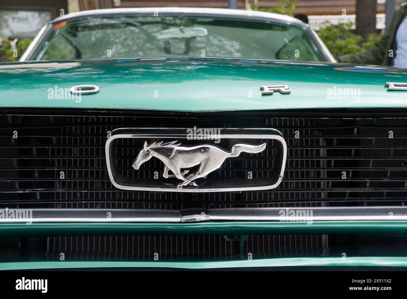 Grüner alter ford-Klassiker mit Mustang vorne Stockfoto