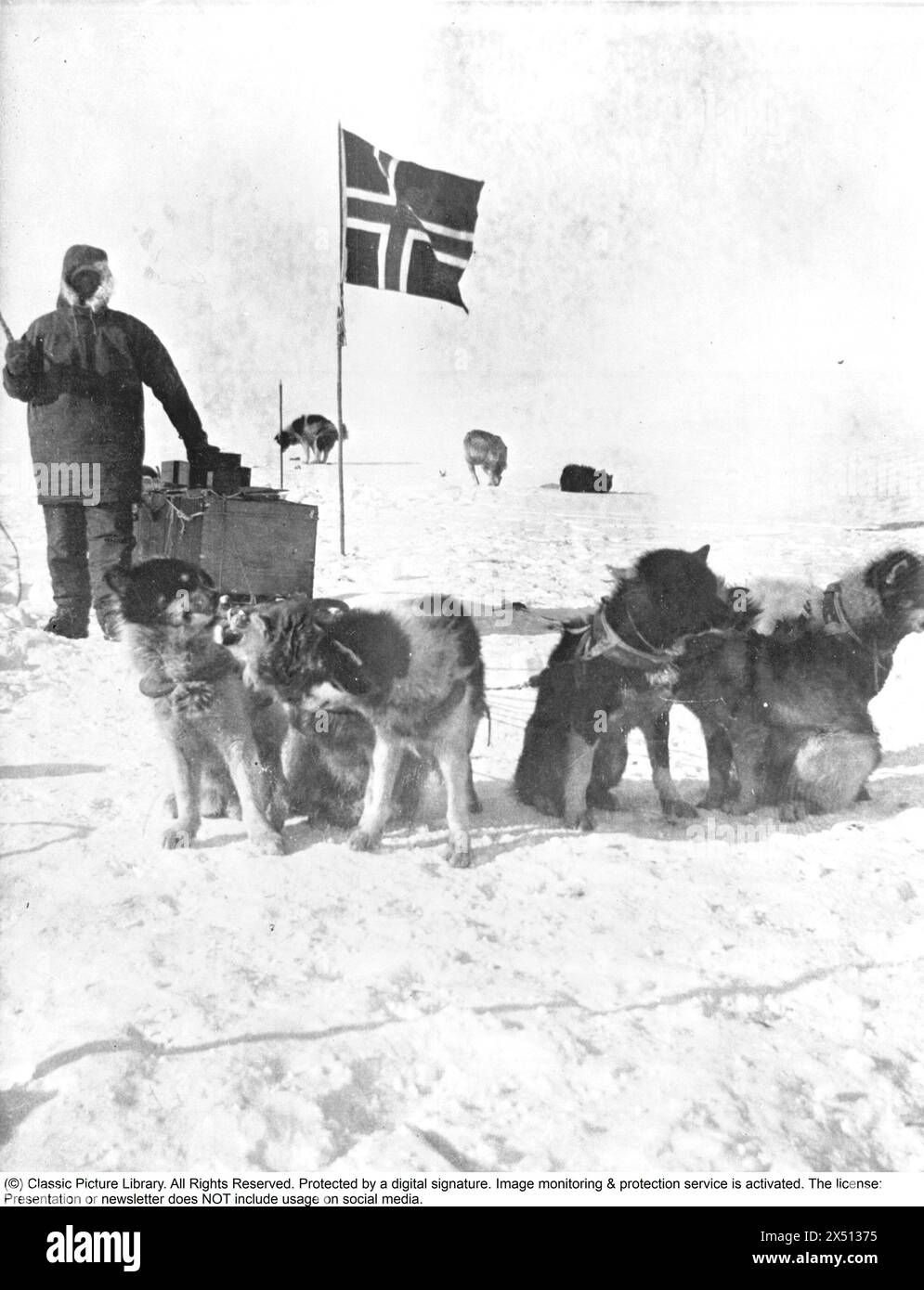 Roald Amundsen. Norwegischer Polarforscher. 1872-1928. Die Südpol-Expedition 1910–1912. Nachdem Amundsen 1903–1906 mit der Gjøa durch die Nordwestpassage gefahren war, plante Amundsen eine Expedition zum Nordpol. Er konnte Nansens Fram ausleihen und für eine Nordpolexpedition ausrüsten. Aber nachdem er die Nachricht erhielt, dass Robert Peary den Pole Point erreicht hatte, entschied er sich, auf den Südpol zu setzen. Amundsen befürchtete, dass Nansen Fram zurücknehmen würde, wenn er von den geänderten Plänen erfährt, und erzählte daher nur seinem Bruder und dem Kapitän von Fram, Thorvald Nilsen, dass der Südpol der Fall sei Stockfoto