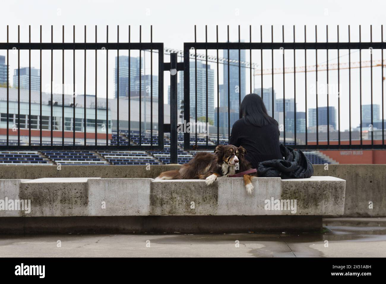Eine Person mit einem Haustier in der Innenstadt von Toronto, Kanada Stockfoto