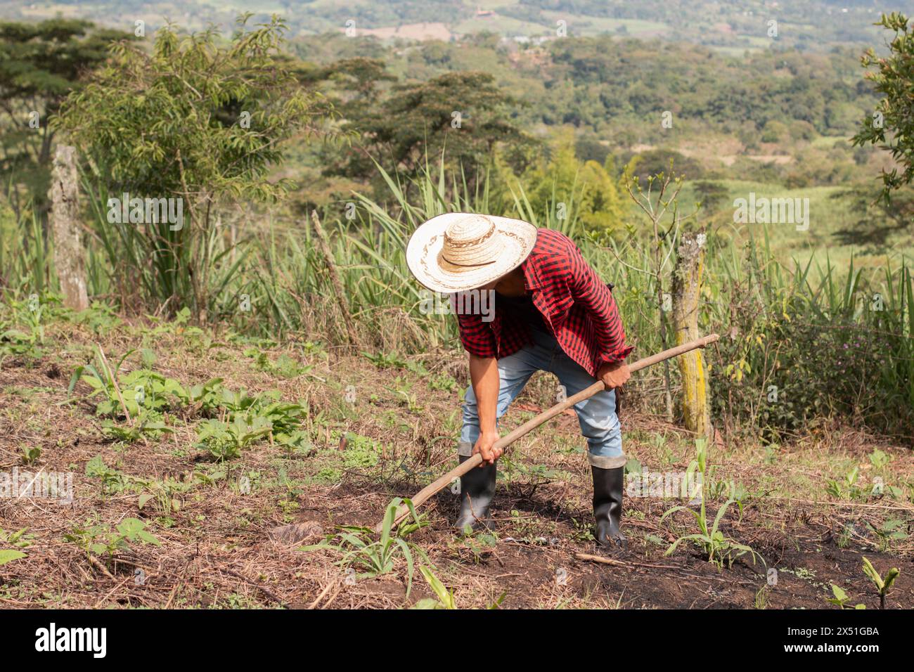 Lebensstil: Jungbauern bewirtschaften das Land, um Ernten anzubauen Stockfoto