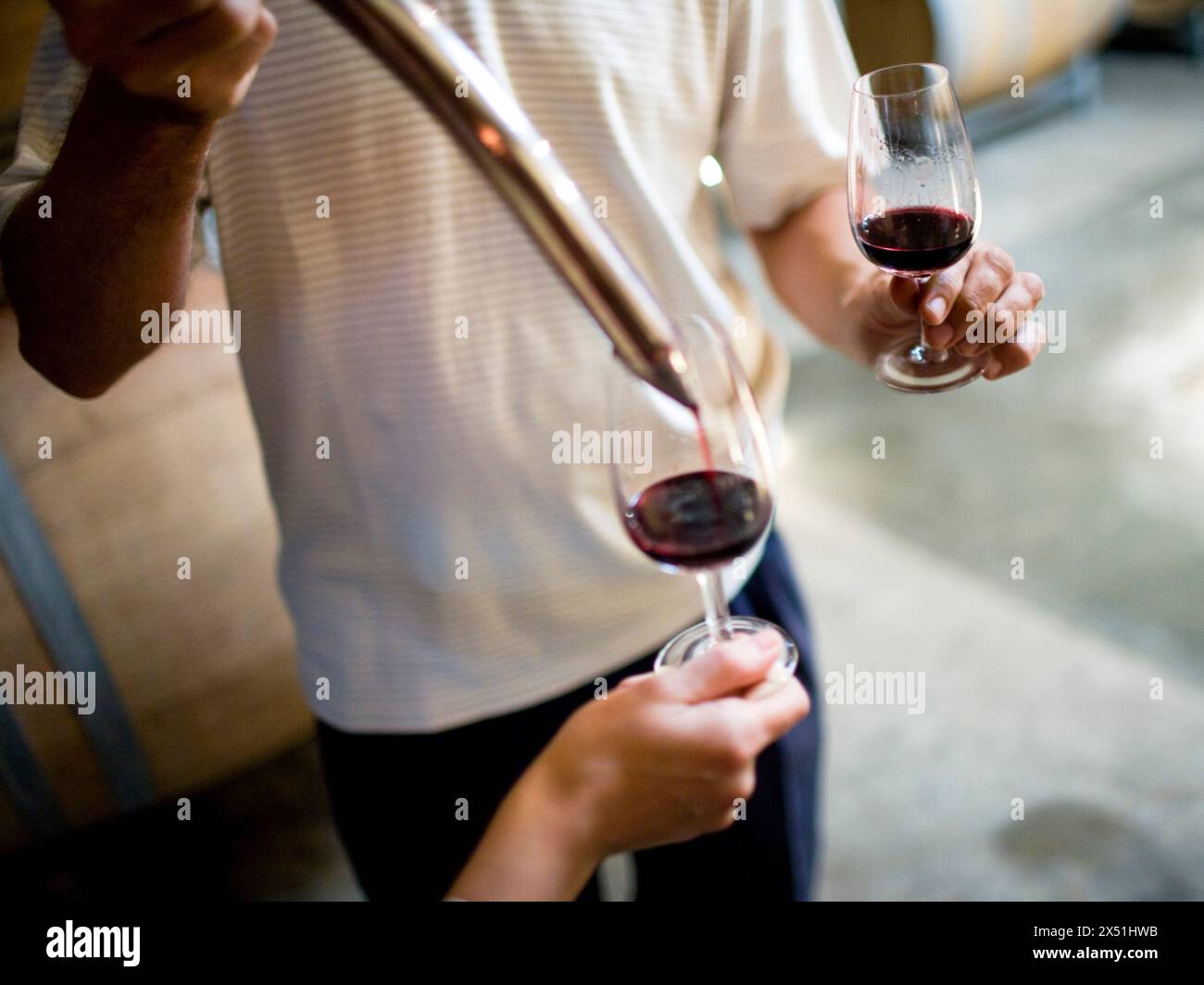 Ein Winzer dekantiert eine Weinprobe in ein Glas. Stockfoto