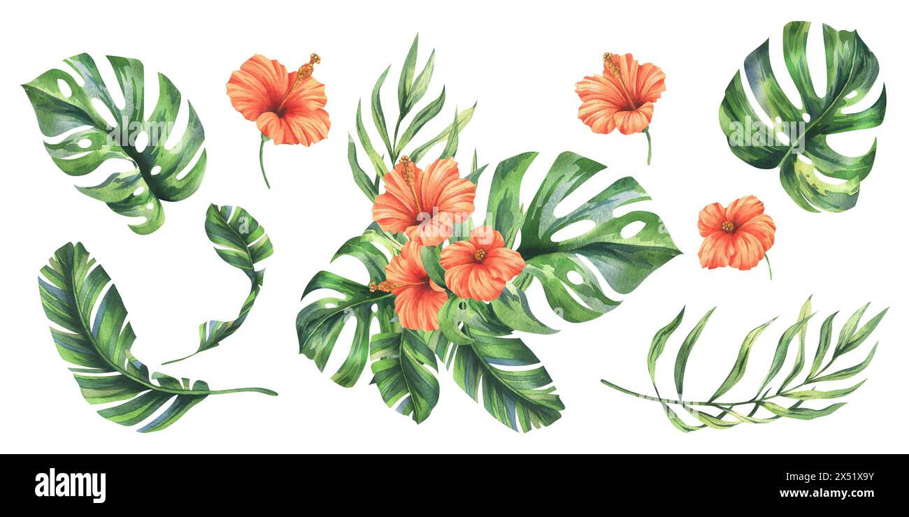 Tropische Palmblätter, Monstera und Blüten des roten Hibiskus, hell saftig. Handgezeichnete botanische Illustration mit Aquarell. Gruppe von Elementen, die von isoliert wurden Stockfoto