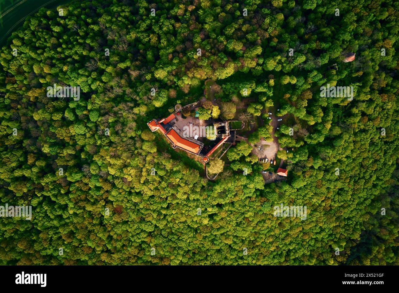 Schloss Grodziec umgeben von grünem Wald, aus der Vogelperspektive. Alte historische Festung. Berühmter touristischer Ort in Niederschlesien, Polen Stockfoto