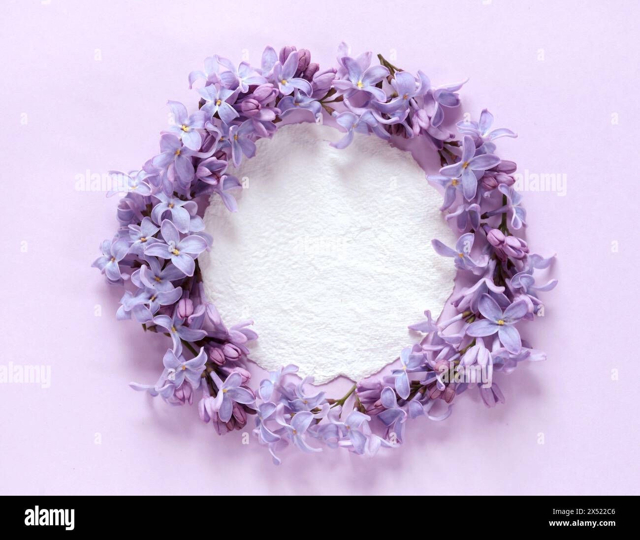 Frühlingsblumen mit einer Craft Paper blanck Note Stockfoto