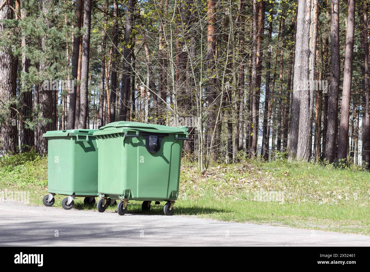 Grüne Mülltonnen im Park auf dem Hintergrund des Waldes Stockfoto