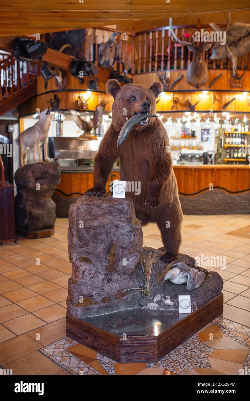 Gefüllter Braunbär mit Fisch im Mund in gemütlicher Lodge mit Holzwänden und Kamin. Die Einrichtung mit Wildtiermotiven verleiht dem Ambiente Charme. Stockfoto Gefüllter Braunbär mit Fisch im Mund in gemütlicher Lodge mit Holzwänden und Kamin. Die Einrichtung mit Wildtiermotiven verleiht dem Ambiente Charme. Stockfoto
