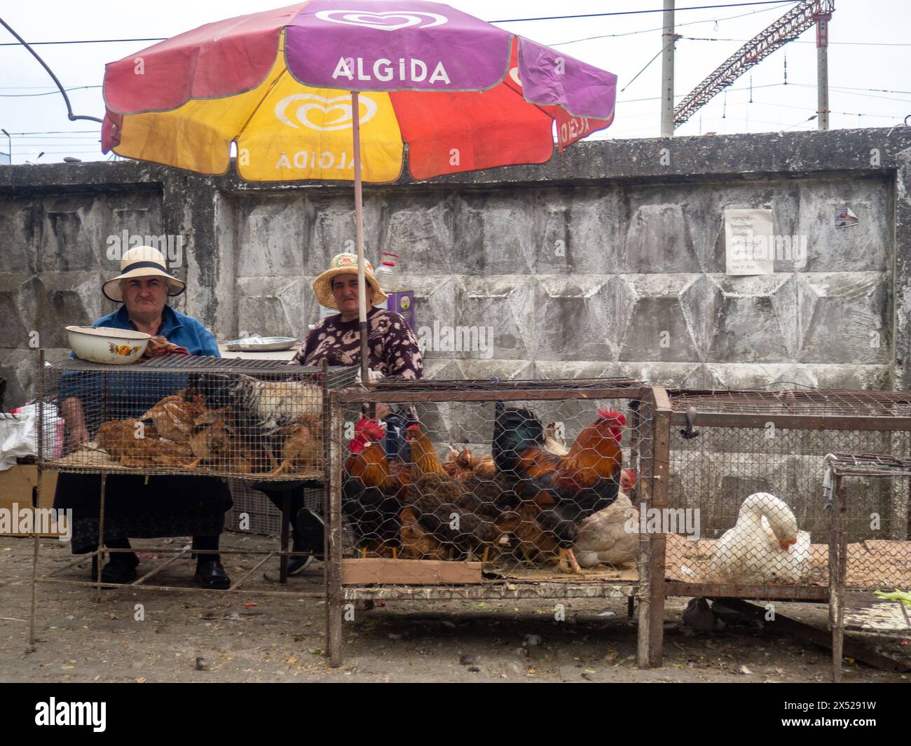 Batumi, Georgien. 05.01.2024 Hahn und Huhn in einem Käfig. Bauernmarkt. Für Fortpflanzung und Nahrung. Vögel zum Verkauf. Unternehmen in Asien Stockfoto