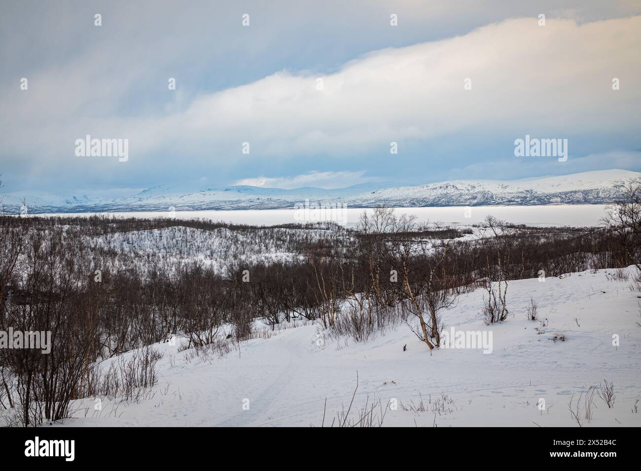 Der schneebedeckte Torneträsk-See in Nordschweden ist von Birkenwäldern umgeben Stockfoto