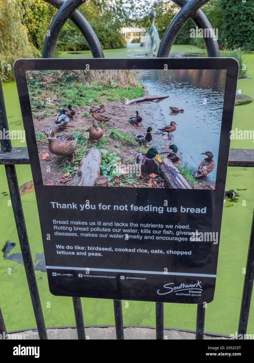 Ein Schild, das Besucher auffordert, den Vögeln im Southwark Park, Bermondsey, London, Großbritannien, kein Brot zu füttern. Stockfoto