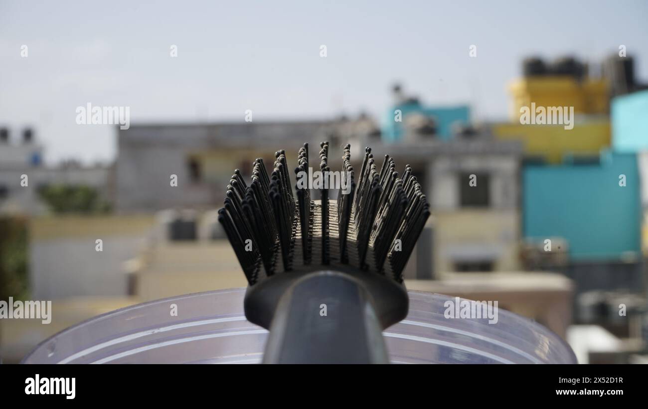 Natur- und Lifestyle-Fotografie unterwegs Stockfoto