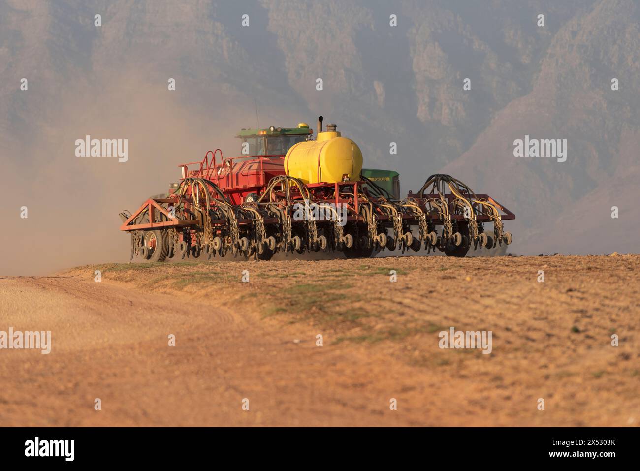 Westkap, Südafrika. Stockfoto