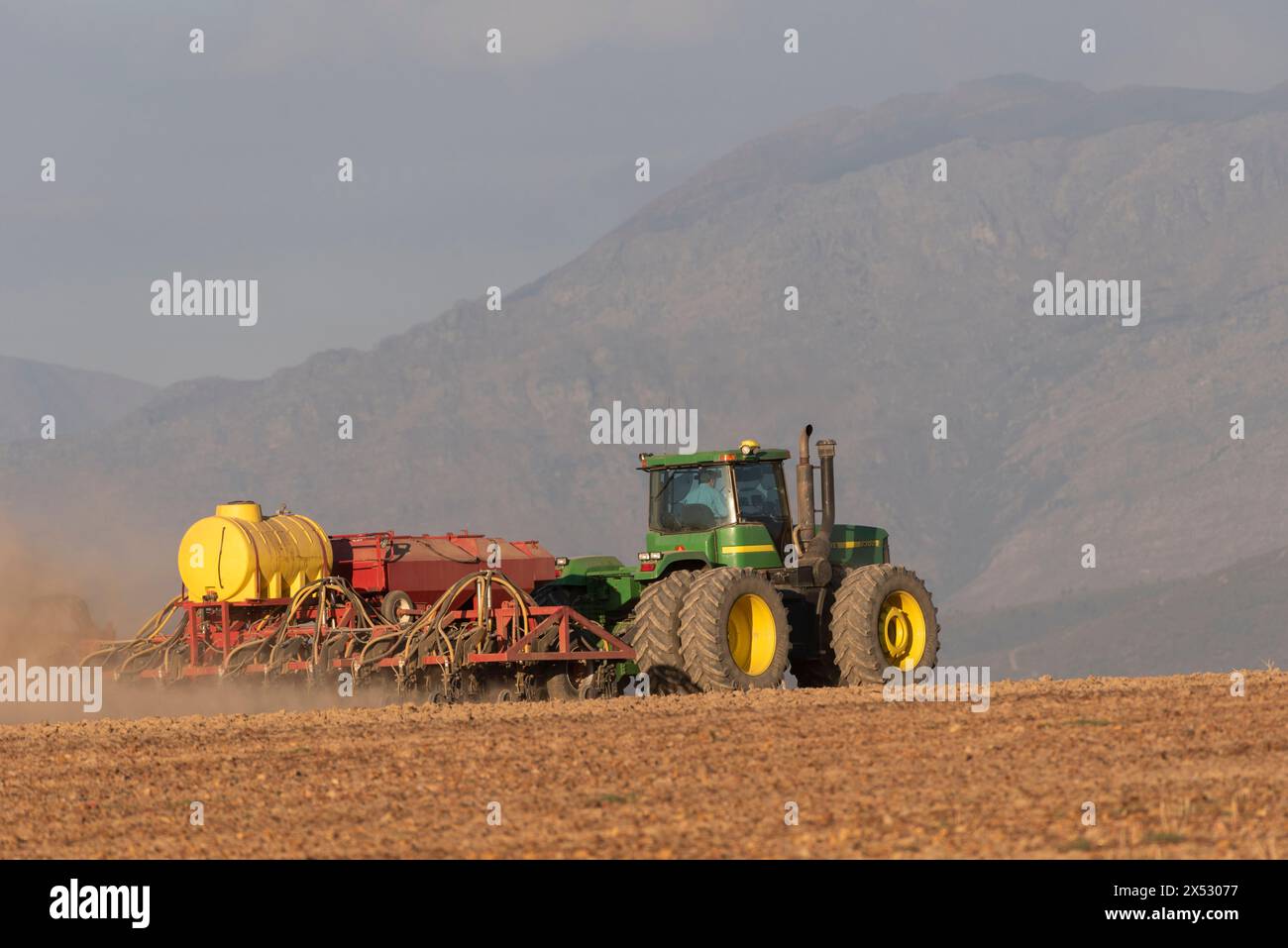 Westkap, Südafrika. Stockfoto