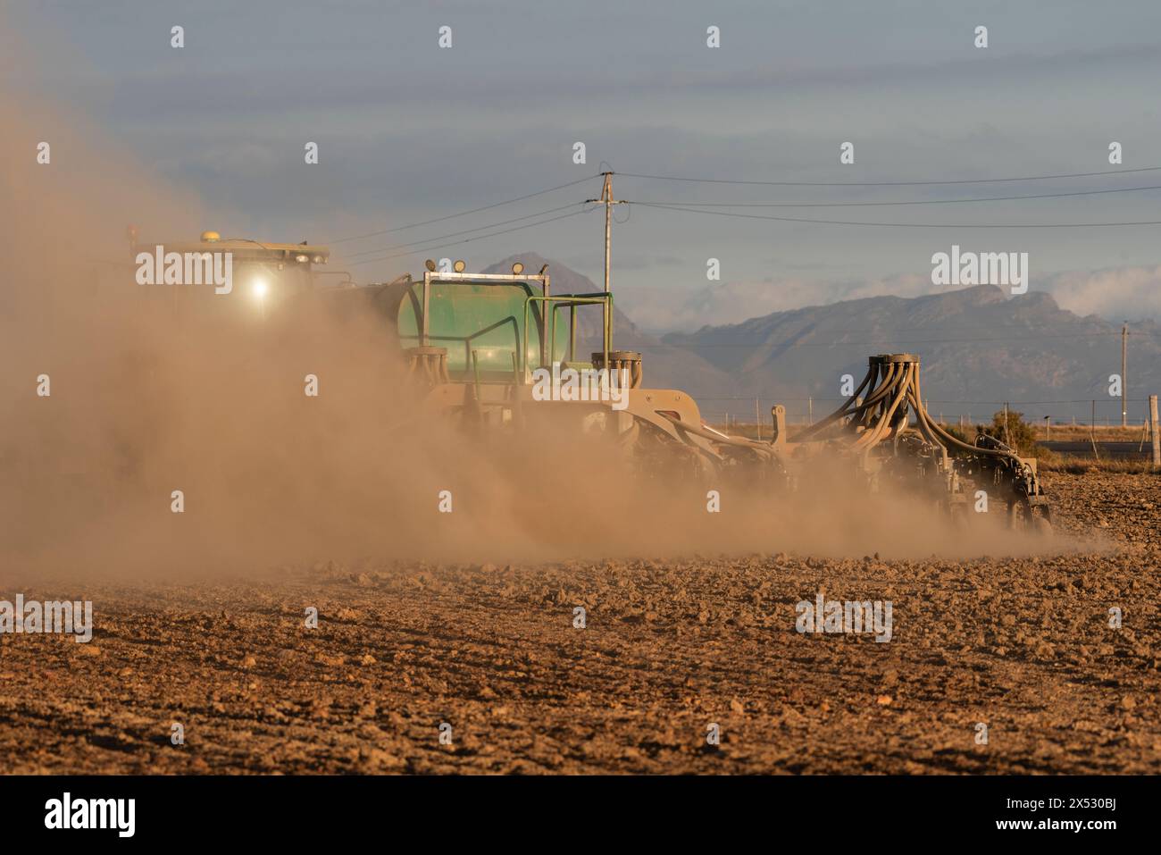 Westkap, Südafrika. Stockfoto