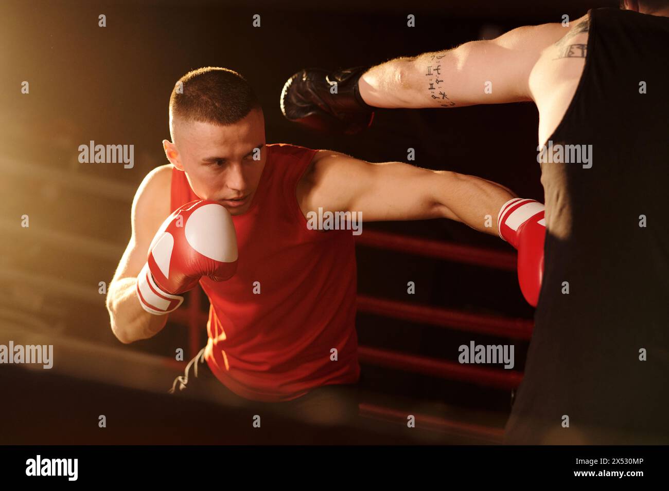 Junger Profi-Boxer in roter Sportbekleidung schlägt seinen Rivalen während des Trainings vor der ersten Runde des Boxturniers auf dem Ring Stockfoto