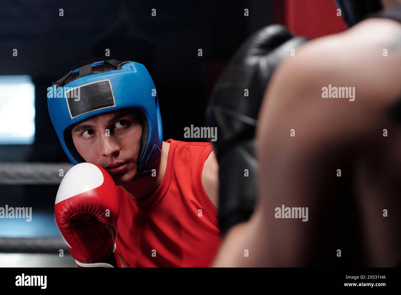 Junger ernsthafter männlicher Athlet in blauem Schutzschild und roten Boxhandschuhen, der vor seinem Rivalen auf dem Ring steht und sich auf den Angriff vorbereitet Stockfoto