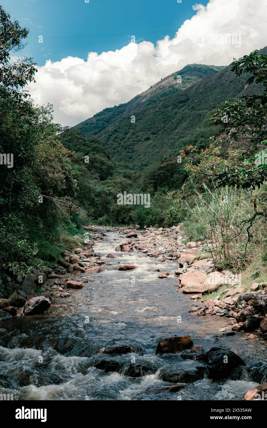 VERTIKALE LANDSCHAFT MIT ENTSÄTTIGTEN FARBEN EINES FLUSSES MIT STEINEN MITTEN IN DEN DSCHUNGELBERGEN KOLUMBIENS IN DER TROCKENZEIT Stockfoto