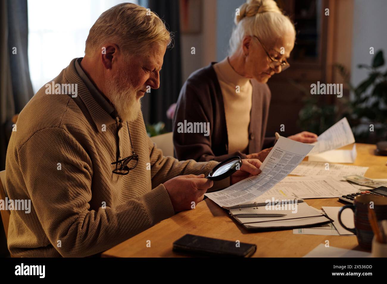 Seitenansicht eines alten Mannes mit Lupe, der durch die Finanzrechnung schaut, während seine Frau neben ihm sitzt und Daten in Dokumenten überprüft Stockfoto