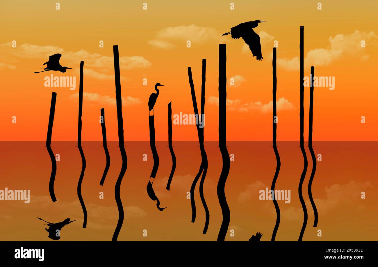 Große Blaureiher werden bei Sonnenuntergang auf einem Binnensee in einer 3D-Illustration gesehen. Stockfoto