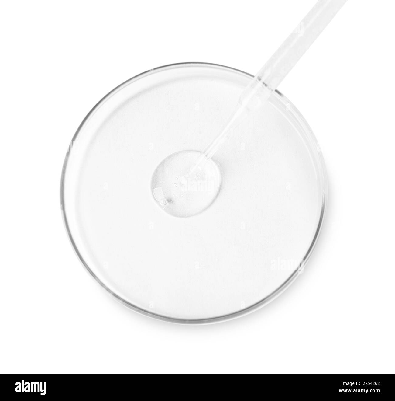 Glaspipette und Petrischale mit Flüssigkeit auf weißem Hintergrund, Draufsicht Stockfoto