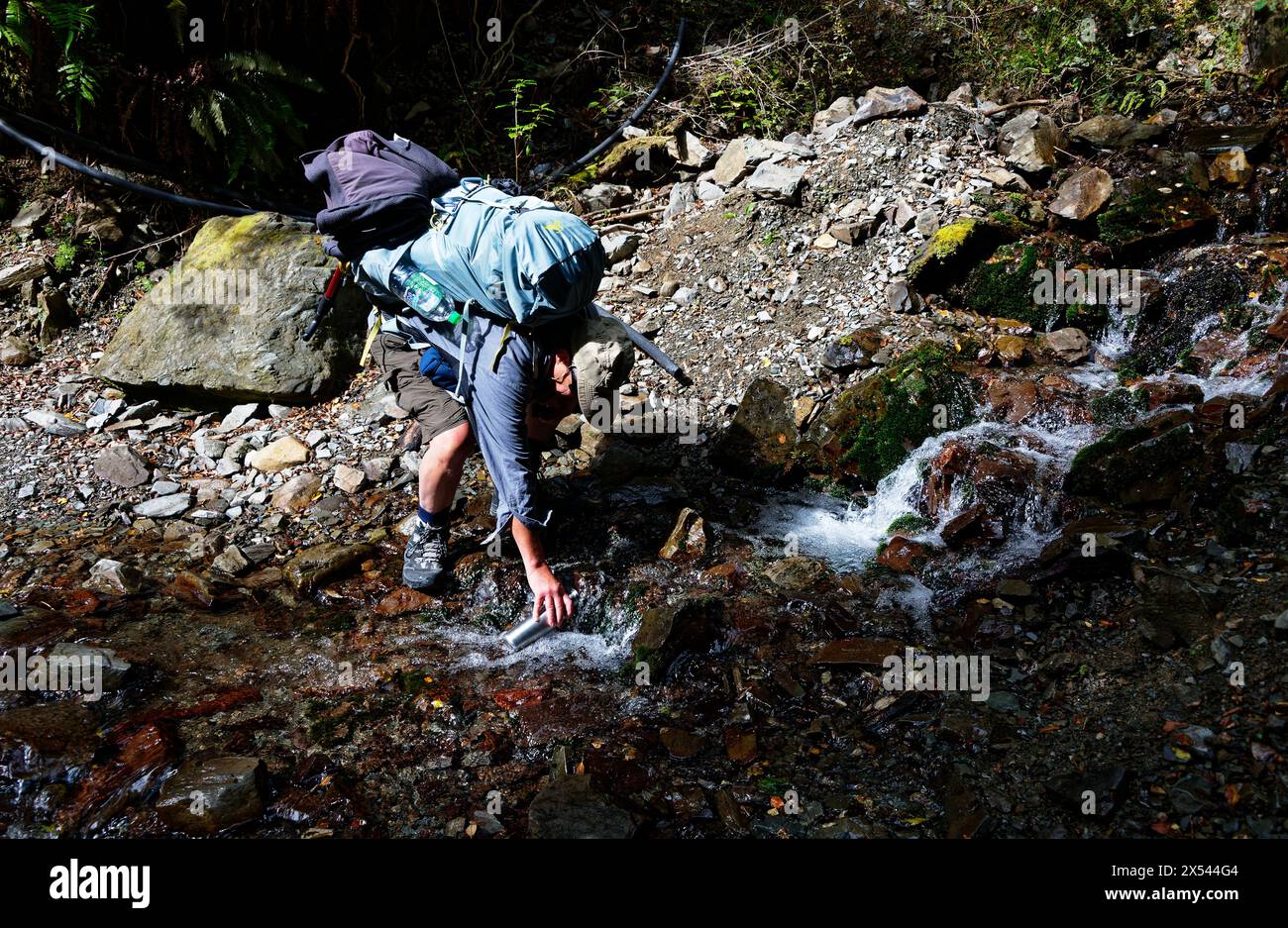 Eine Trinkflasche aus Edelstahl wird mit frischem Wasser aus einem Fluss nachgefüllt Stockfoto