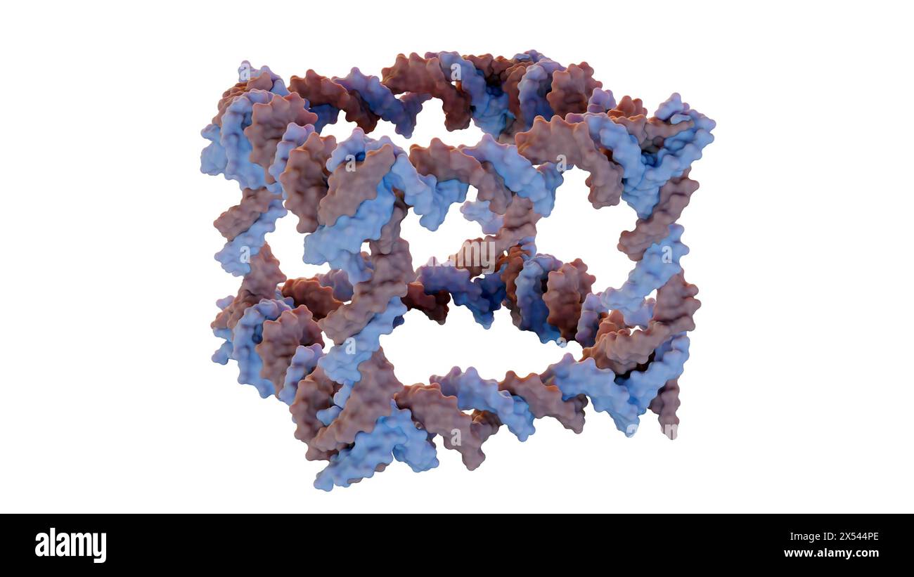 3D-Darstellung der Konstruktion aus DNA eines kovalent geschlossenen würfelförmigen Molekularkomplexes Stockfoto