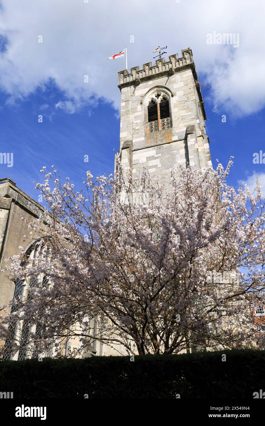Wunderschöne St. Thomas's Kirche in Salisbury City, England Stockfoto
