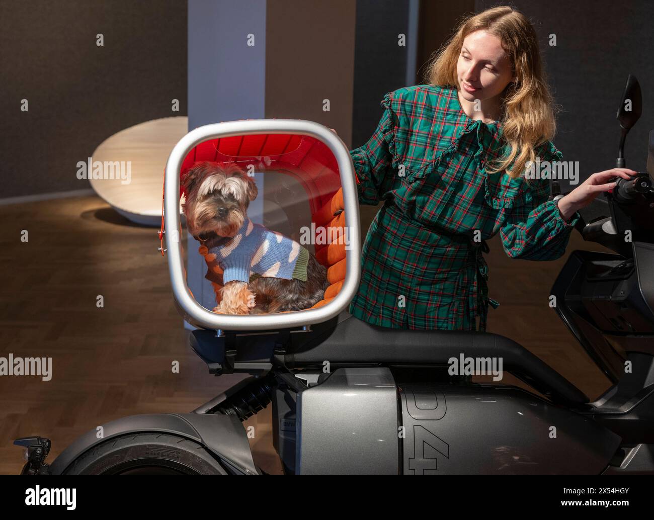 Bonham's, London, Großbritannien. Mai 2024. Highlights des Goodwoof's Barkitecture Kennel Design Competition 2024 in Bonhams, der die Kenels im Auftrag von Goodwoof am 19. Mai 2024 in Goodwood in Chichester versteigert. Barkitecture ist ein einzigartiger Wettbewerb, bei dem Kevin McCloud MBE und der Duke of Richmond das Beste der Kennel-Architektur feiern. Dieses Jahr dreht sich alles um stilvolles Reisen mit dem Titel Lounge Access: For the Jet-Setting Dog, bei dem Theo der Hund die Zwinger ausprobiert. Quelle: Malcolm Park/Alamy Live News Stockfoto