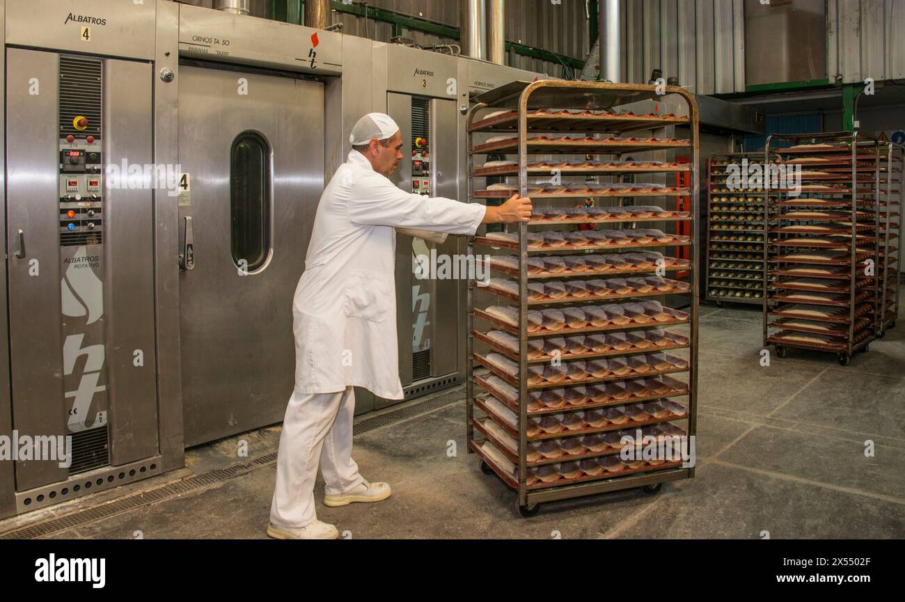 Arbeiter in einer Brotfabrik, bereiten die Wagen mit den Massen vor, um sie in den Ofen zu stellen Stockfoto