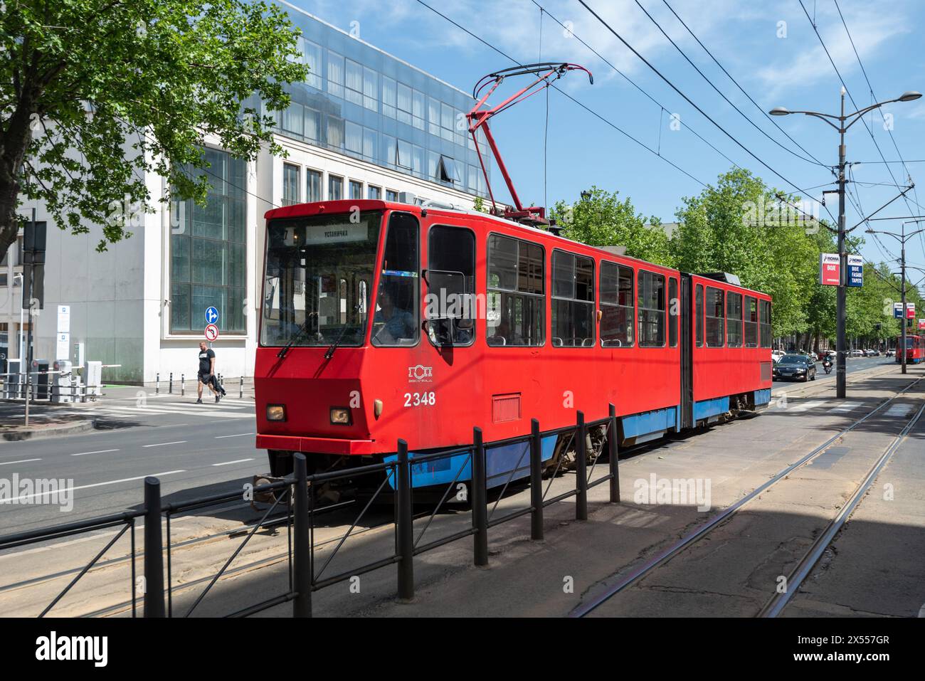 Traditionelle rote elektrische Straßenbahnen, die Passagiere durch die Straßen von Belgrad, Serbien, fahren. April 2024. Stockfoto