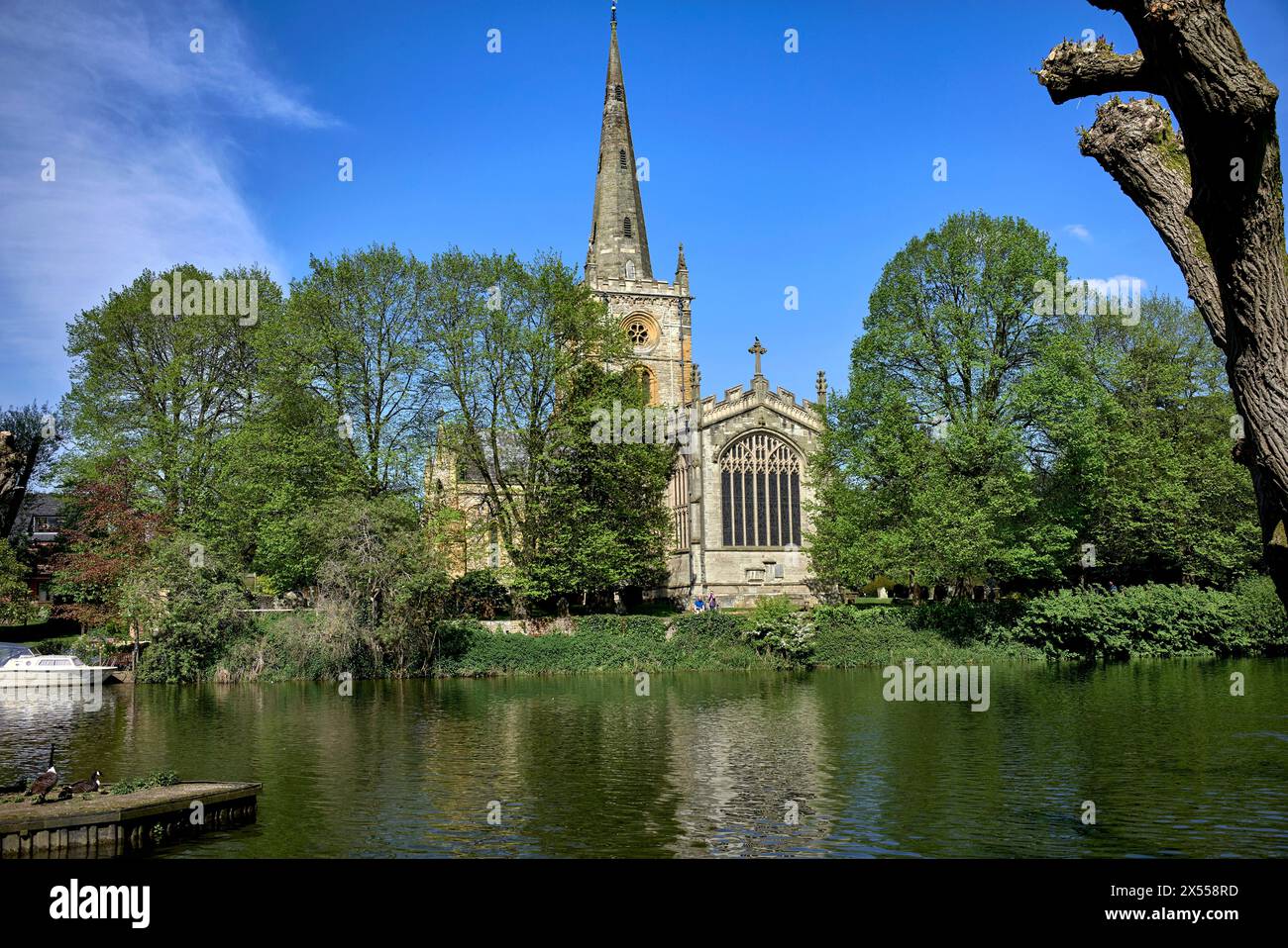 Holy Trinity Church of England Stratford upon Avon von von der anderen Seite des Flusses Avon England Großbritannien Stockfoto