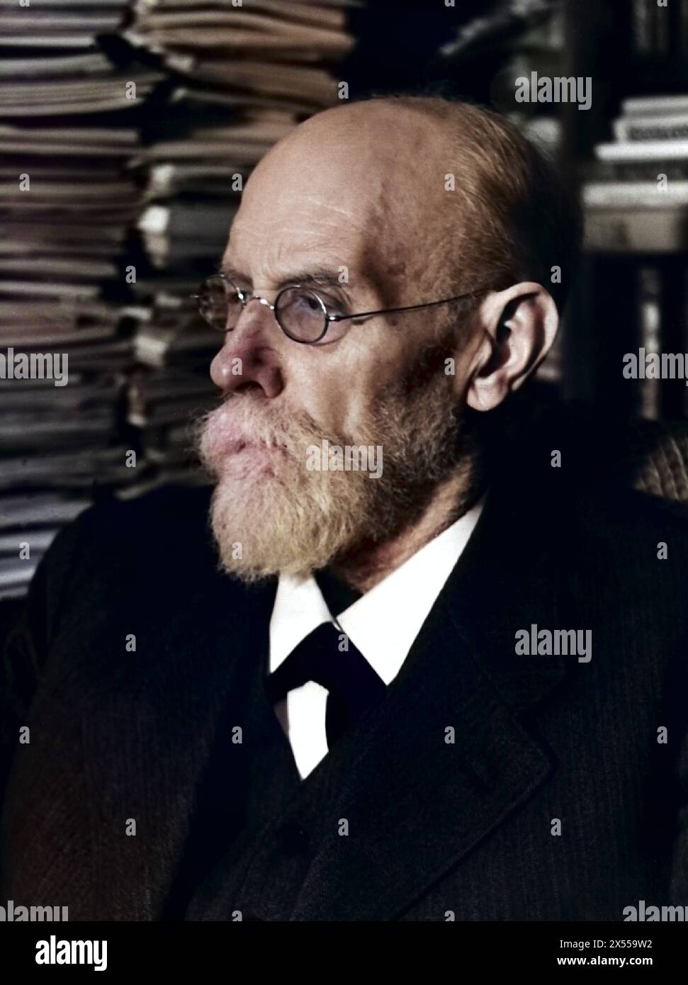 Bartels, Adolf, 15.11.1862 - 7,3.1945, deutscher Schriftsteller und Literaturhistoriker, Porträt, in seiner Studie, ADDITIONAL-RIGHTS-CLEARANCE-INFO-NOT-AVAILABLE Stockfoto