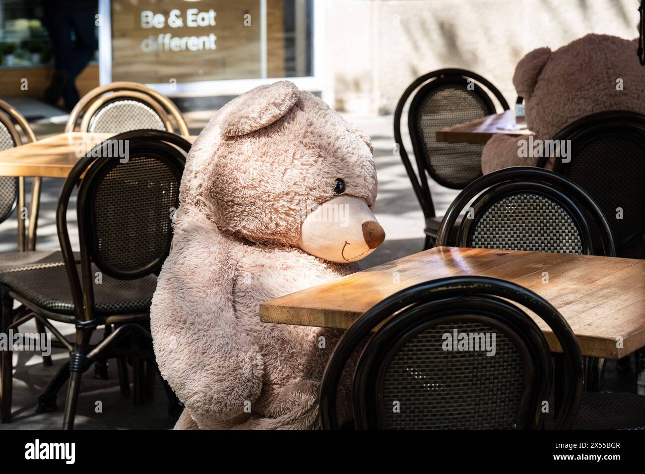 Ein Teddybär sitzt auf einem Stuhl in einem Café in Barcelona, Spanien Barcelona Katalonien Spanien *** Ein Teddybär sitzt auf einem Stuhl in einem Café in BARC Stockfoto