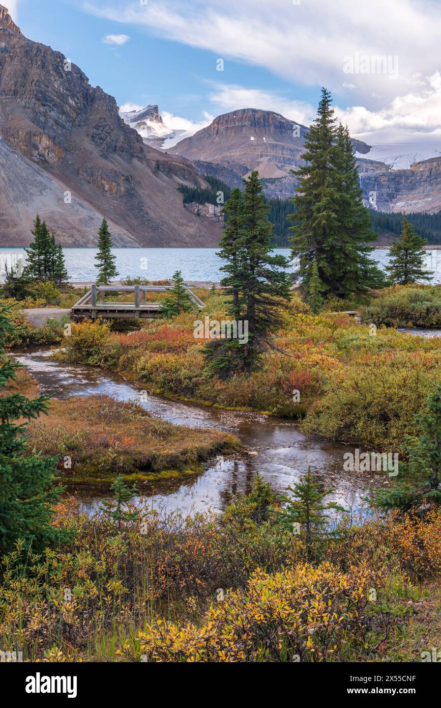 Fluss und Brücke am Ufer des Bow Lake in den Kanadischen Rockies, Banff National Park, Alberta, Kanada. Herbst (September) 2016. Stockfoto