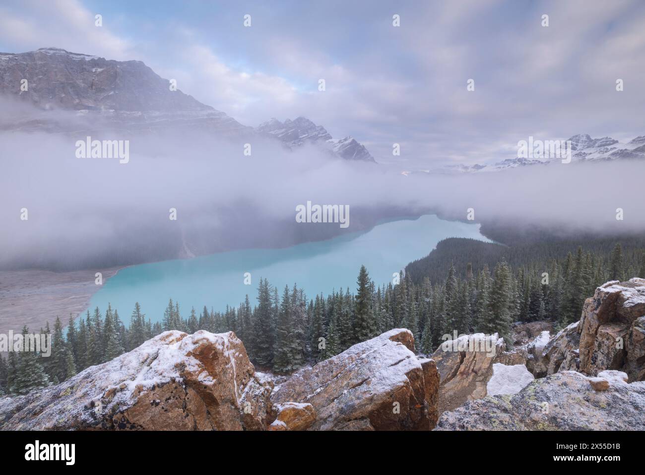 Nebel umhüllte den Peyto Lake bei Sonnenaufgang in den Kanadischen Rockies, Banff National Park, Alberta, Kanada. Stockfoto