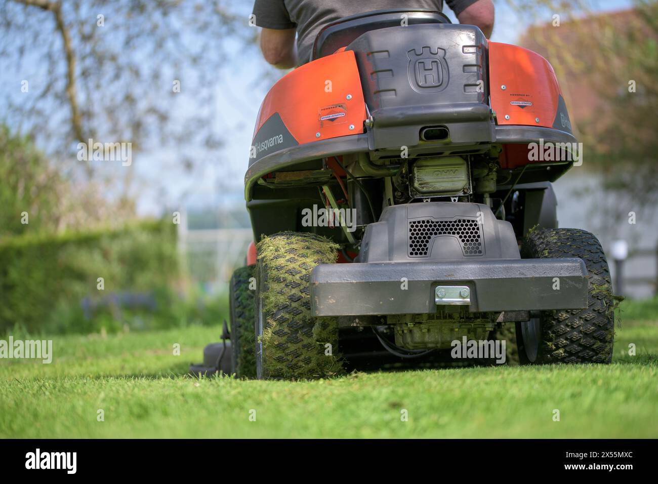 Eine Person, die einen Rasen auf einem orangefarbenen und grauen Rasenmäher schneidet Stockfoto
