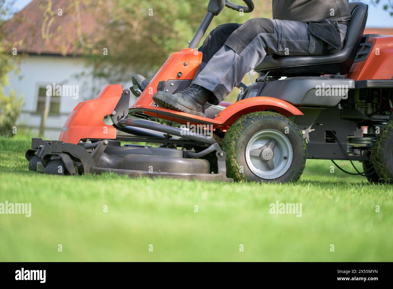 Eine Person, die einen Rasen auf einem orangefarbenen und grauen Rasenmäher schneidet Stockfoto