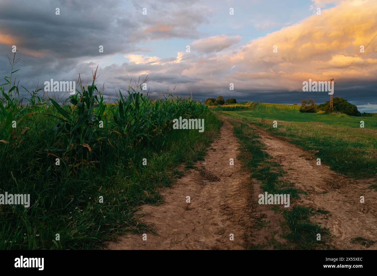 Entdecken Sie die bezaubernde Schönheit der Abenddämmerung, während die Sonne unter dem Horizont untergeht und eine malerische Schotterstraße durch eine ruhige Landschaft erleuchtet Stockfoto