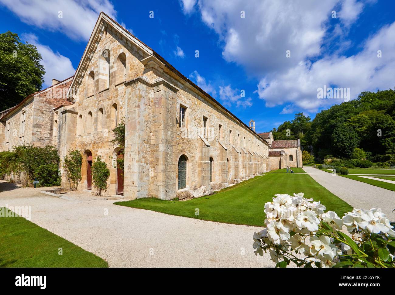 Abbaye Royale de Notre Dame de Fontenay, Fontenay Zisterzienserabtei, Montbard, Côte d'Or, Burgund, Bourgogne, Frankreich, Europa Stockfoto