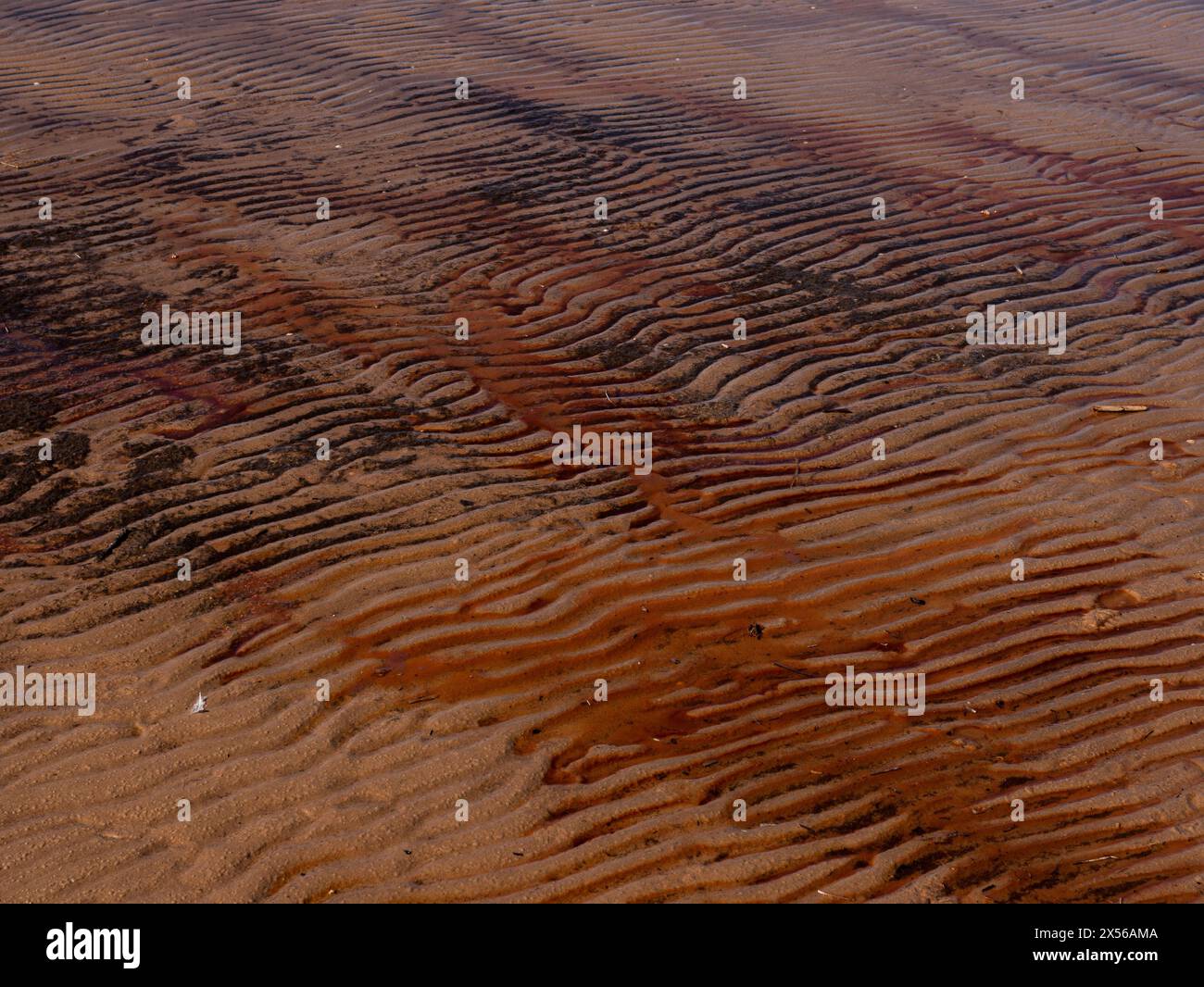 Natürliche Wellen Ornamente aus orangenem nassem Sand Stockfoto