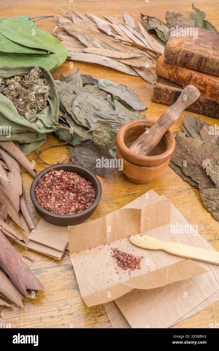 Apotheke / Kräutermedizin Szene mit vorbereiteten Dosen „Papiere“ der verschriebenen Mittel, die bearbeitet werden, und Holzpissel und Mörtel. Stockfoto