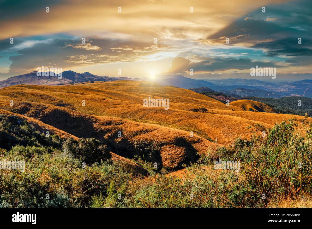 Landscape vista Berge in der Graskop Gorge, Provinz Mpumalanga östlich von Südafrika Stockfoto