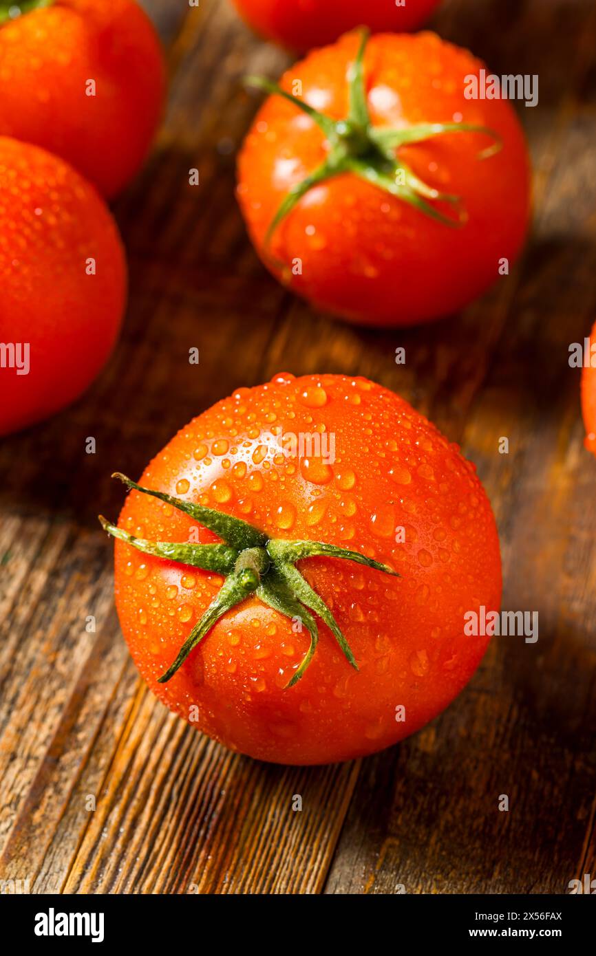 Rote Bio-Beefsteak-Tomaten in einem Haufen Stockfoto