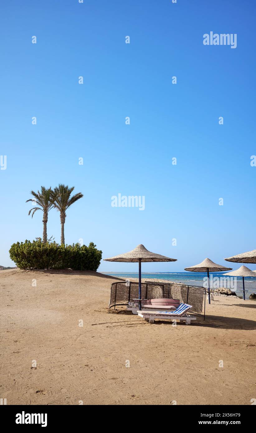 Schöner Sandstrand mit Liegestühlen und Sonnenschirmen, Marsa Alam Region, Ägypten Stockfoto