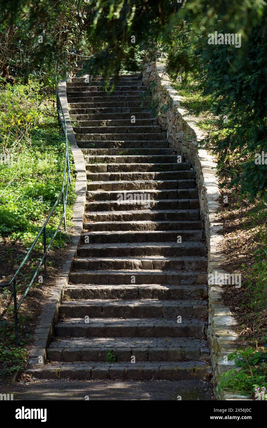 Eine lange Steintreppe schlängelt sich bergauf und sorgt für eine ruhige und ruhige Stimmung in einem Stadtpark in Wien, Österreich Stockfoto